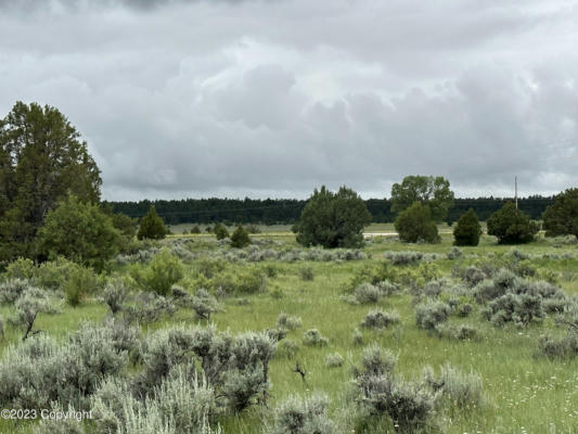 2560 STATE HIGHWAY 116 N, UPTON, WY 82730 - Image 1